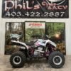2006 Suzuki QuadSport® Z400